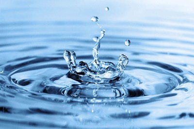 Combined Total Maximum Daily Load