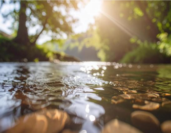 Stormwater Basics for Homeowners & Residents