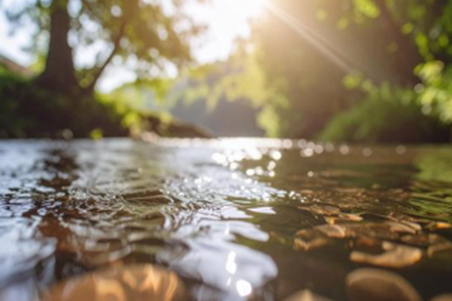 Stormwater Basics for Homeowners & Residents